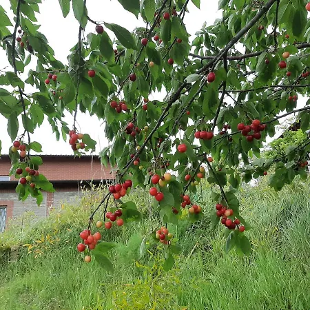 La Fabbrica In Collina *