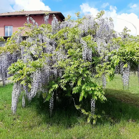度假居 La Fabbrica In Collina Prasco