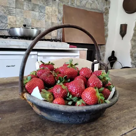 度假居 La Fabbrica In Collina Prasco