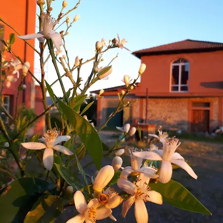 La Fabbrica In Collina * Prasco